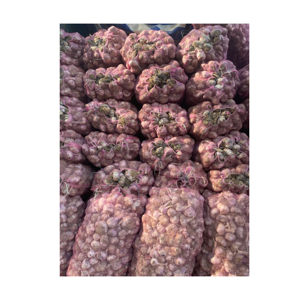 Kashmiri Garlic Sri Gopi Garlic