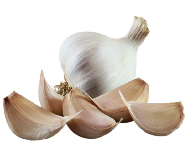 Indian Garlic Sri Gopi Garlic